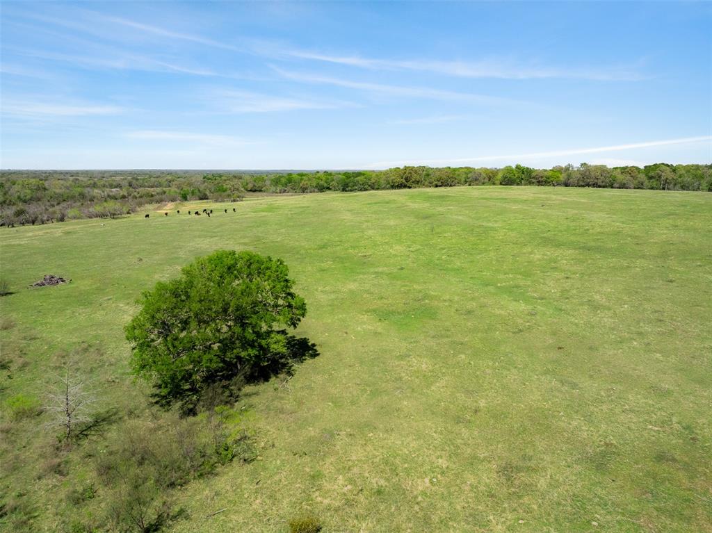 000 Dannheim Road, Brenham, Texas image 15