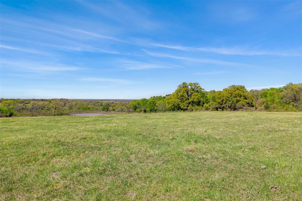 000 Dannheim Road, Brenham, Texas image 5