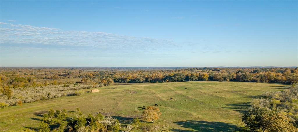 000 Dannheim Road, Brenham, Texas image 9