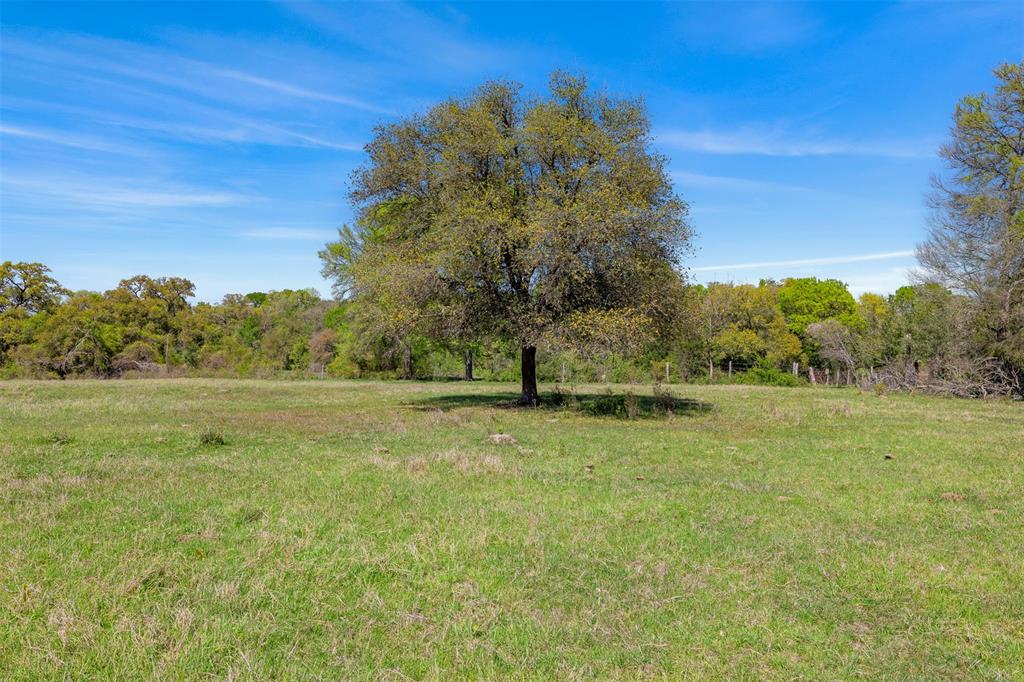 000 Dannheim Road, Brenham, Texas image 6