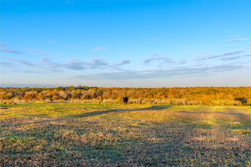 000 Dannheim Road, Brenham, Texas image 7