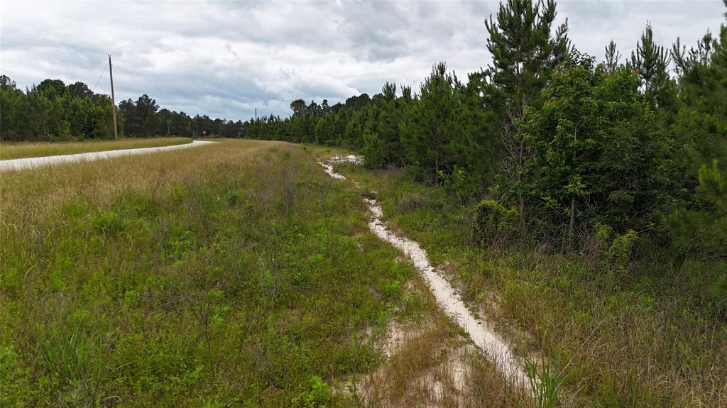 TBD  68 Young Road, Livingston, Texas image 5