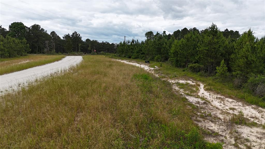 TBD  68 Young Road, Livingston, Texas image 6