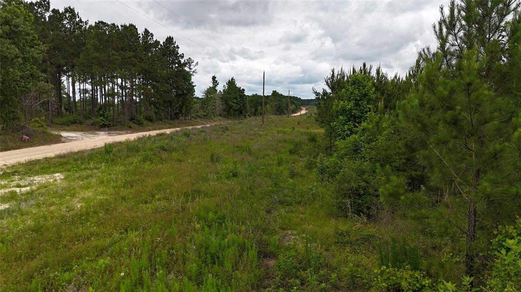 TBD  68 Young Road, Livingston, Texas image 7