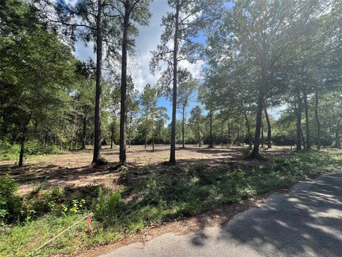 Photo of 3 Deerwood Drive, Plantersville, TX 77363 (MLS # 17486250)