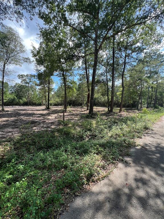 TBD Lot 3 Deerwood Drive, Plantersville, Texas image 5