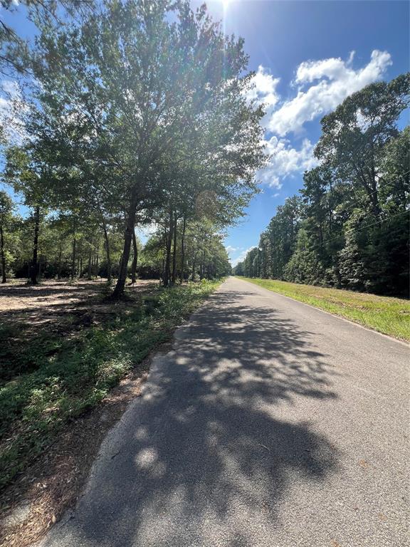 TBD Lot 3 Deerwood Drive, Plantersville, Texas image 3