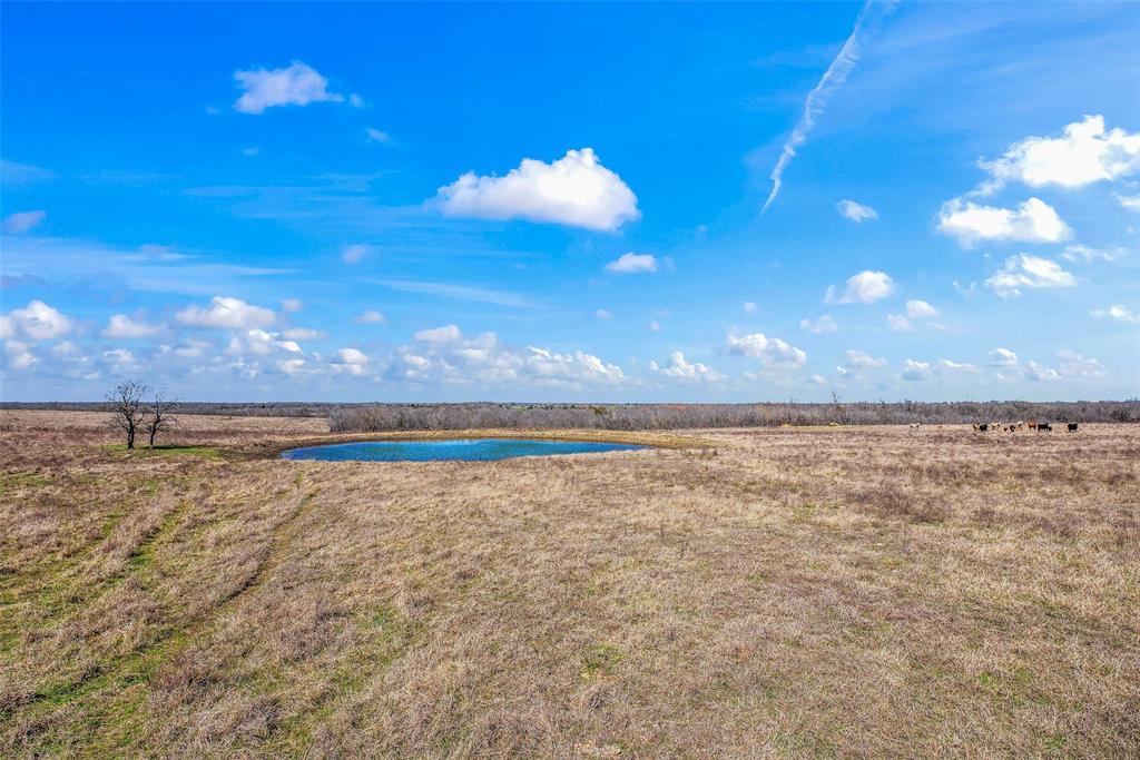 1258 Steinke Road Rd, Mart, Texas image 9