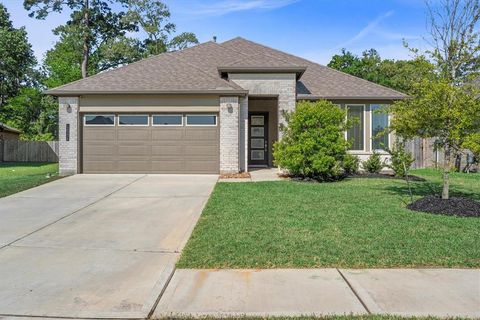 14334 Winema View Lane Conroe TX 77384