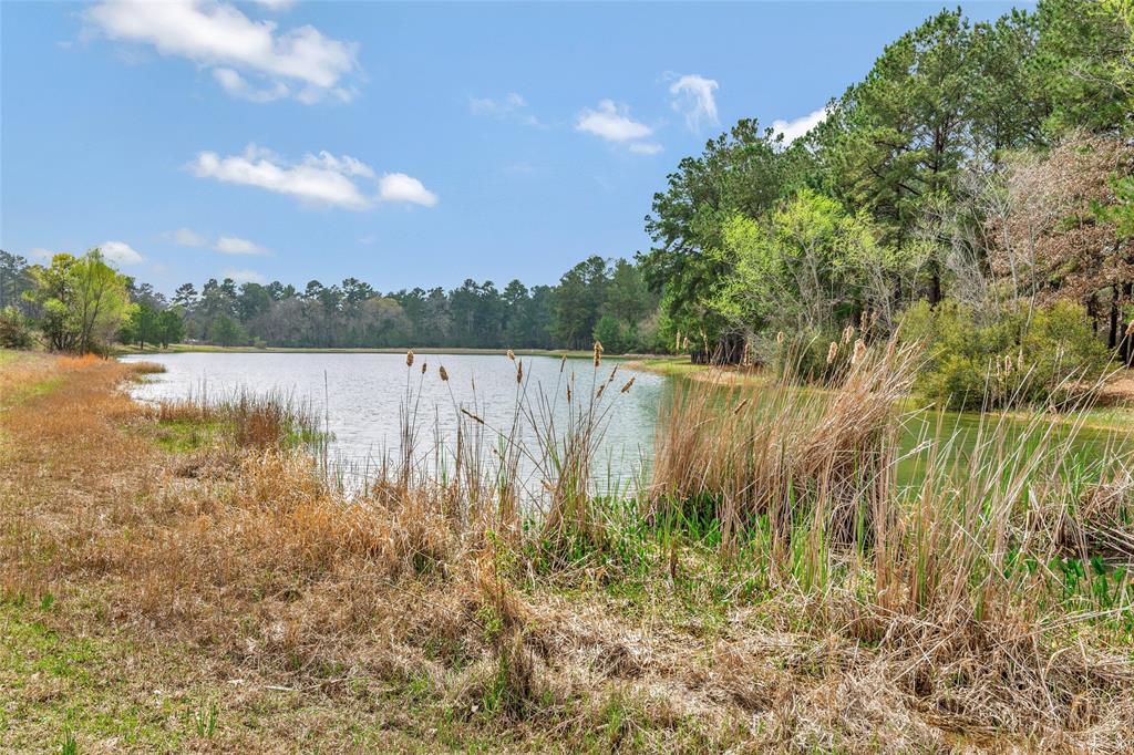 26500 Saddle Horn Drive, Waller, Texas image 2