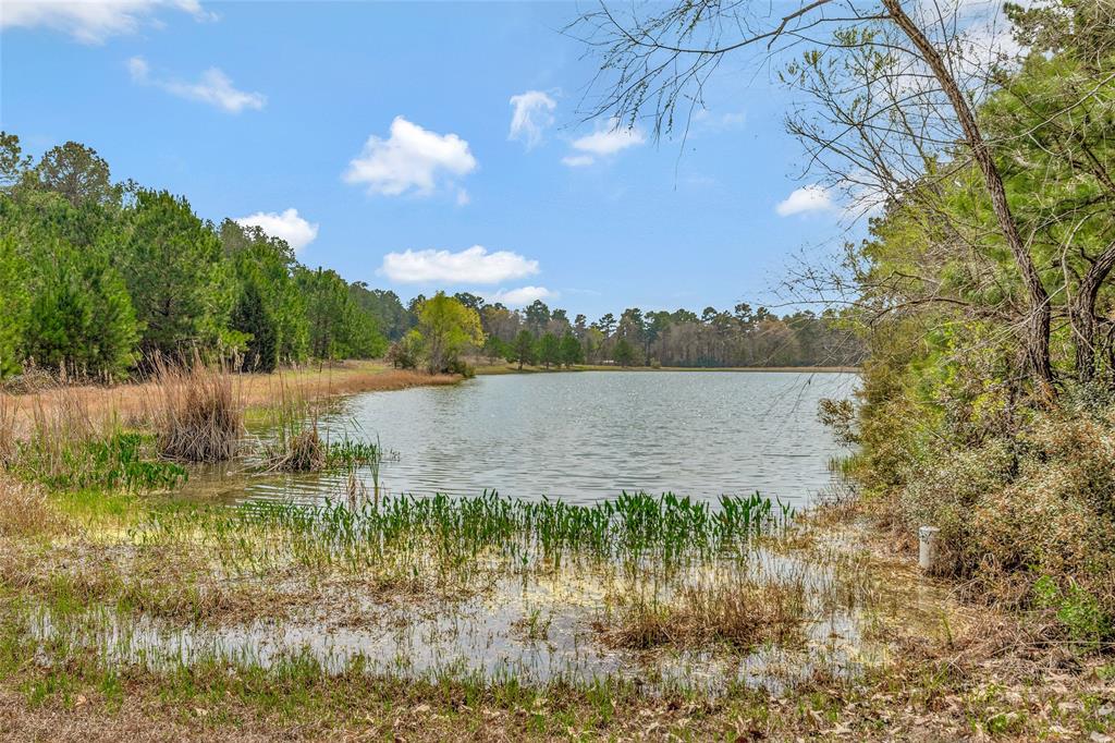 26500 Saddle Horn Drive, Waller, Texas image 3