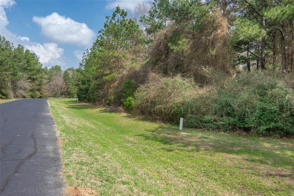 26500 Saddle Horn Drive, Waller, Texas image 11