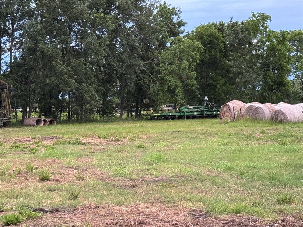TBD County Road 48 Airline Road, Rosharon, Texas image 6