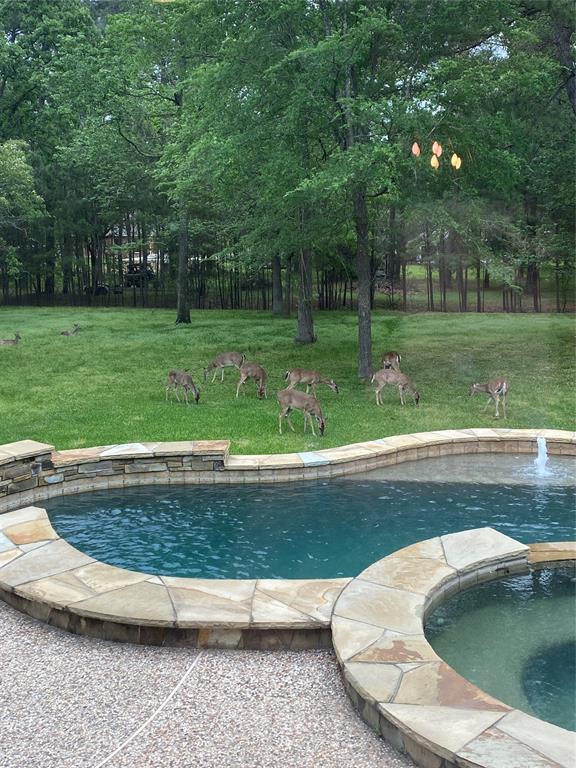 11942 Rainy Oaks Drive, Magnolia, Texas image 49