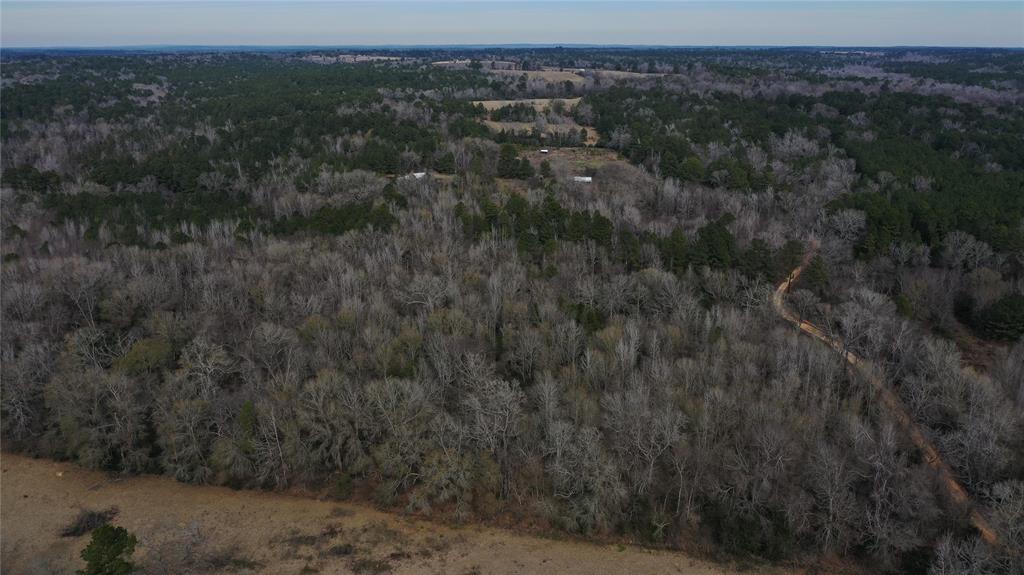 TBD Lot 5 County Road 2240, Grapeland, Texas image 10