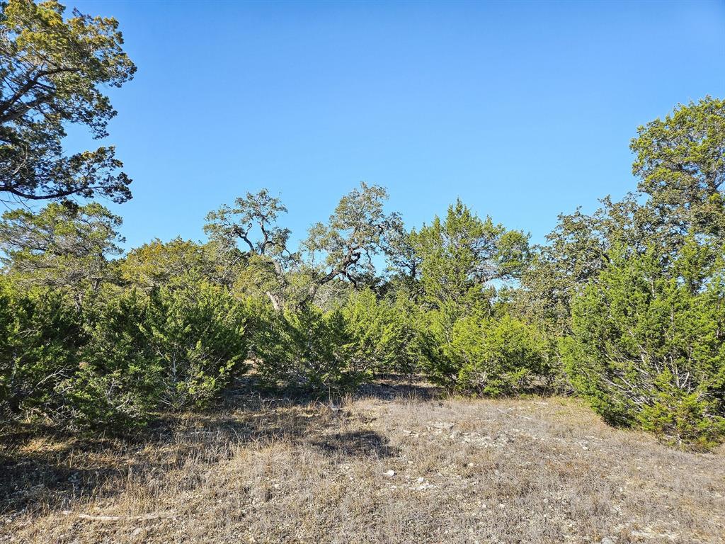 Lot 32 Rambling Oaks Drive, Wimberley, Texas image 8