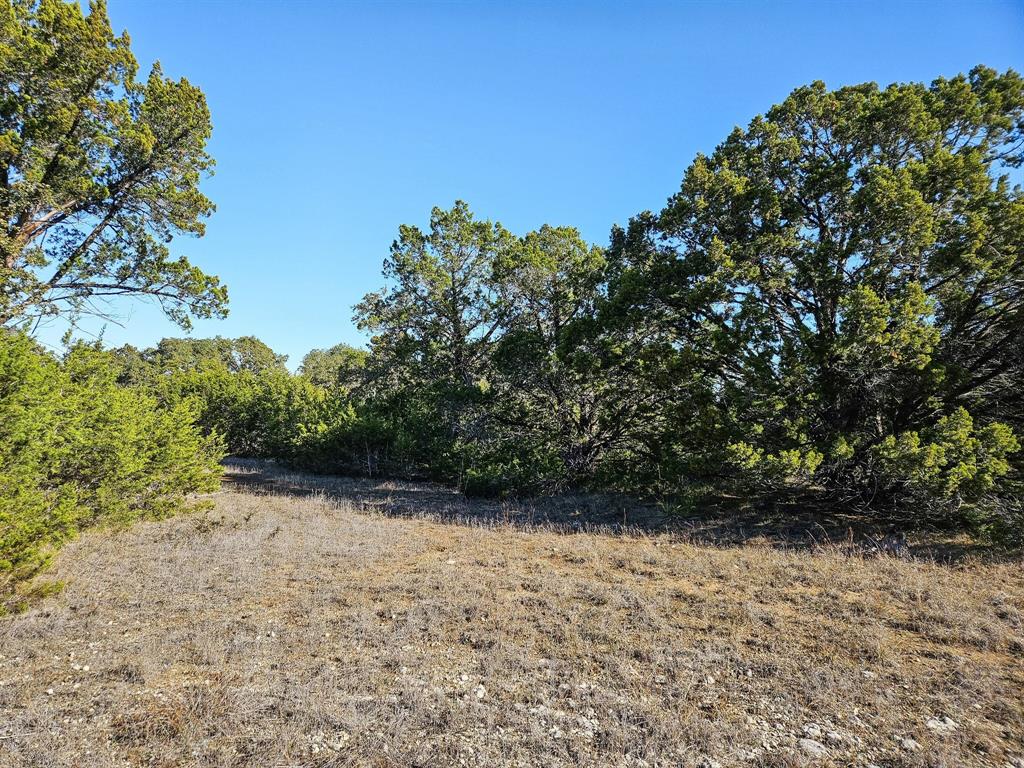 Lot 32 Rambling Oaks Drive, Wimberley, Texas image 22