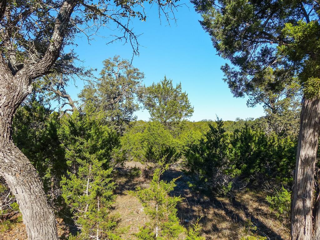 Lot 32 Rambling Oaks Drive, Wimberley, Texas image 15