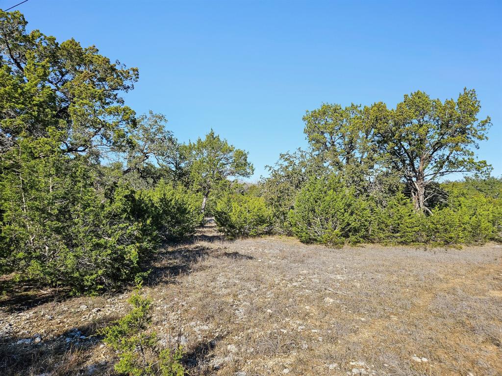 Lot 32 Rambling Oaks Drive, Wimberley, Texas image 13