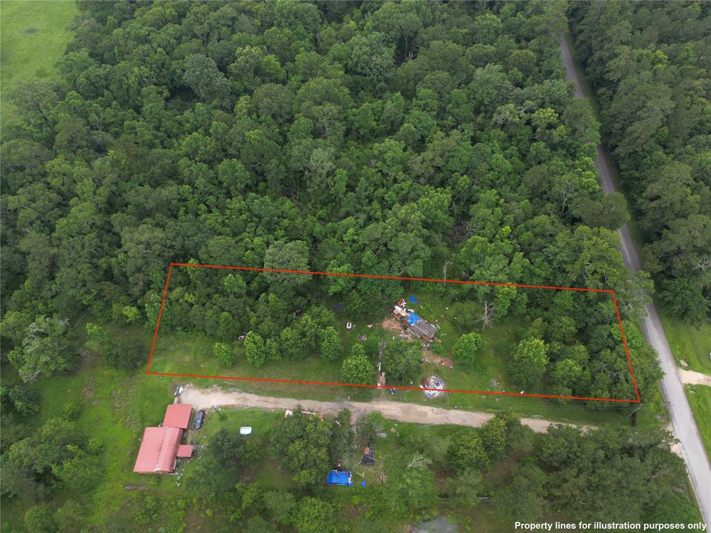 1338 County Rd 318, Cleveland, Texas image 3