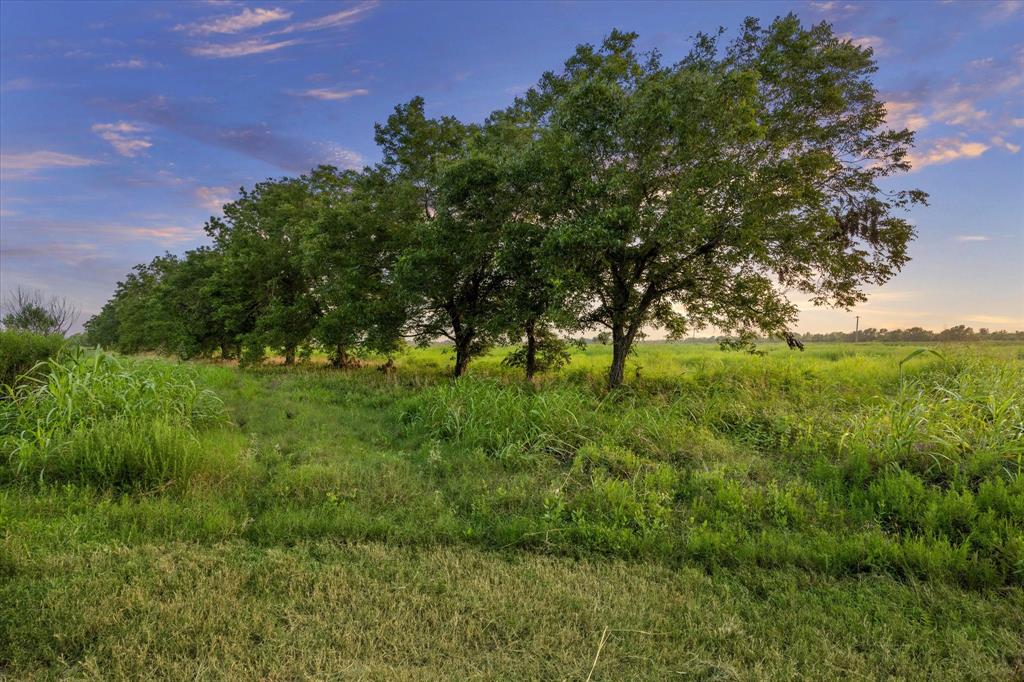 3944 Remmert Road, Sealy, Texas image 1