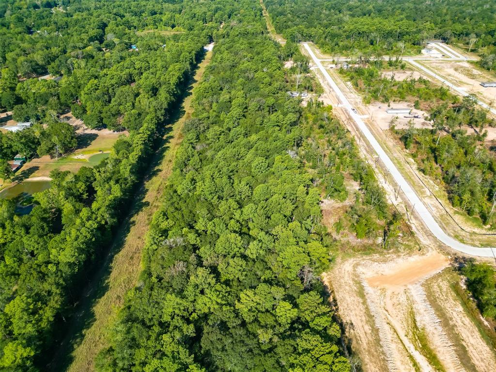 Magnolia Lane, Huffman, Texas image 20