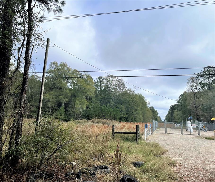 Magnolia Lane, Huffman, Texas image 3