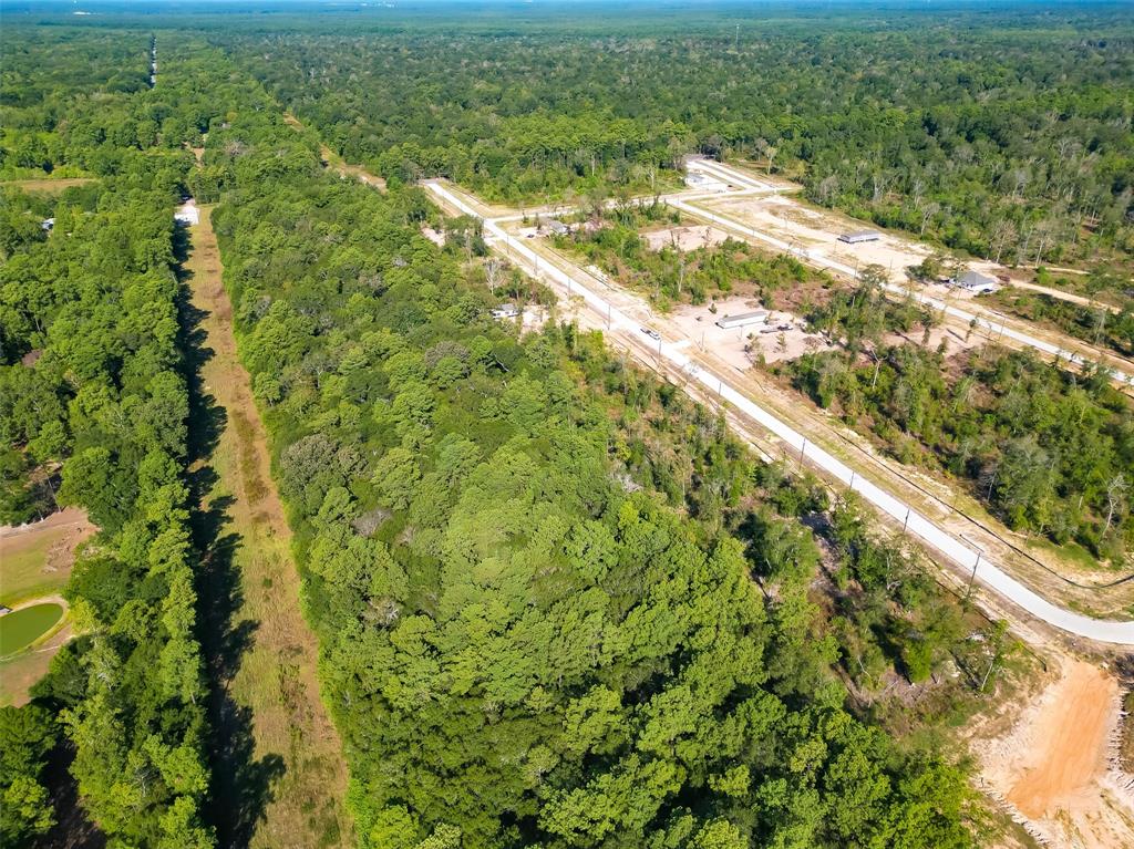 Magnolia Lane, Huffman, Texas image 22