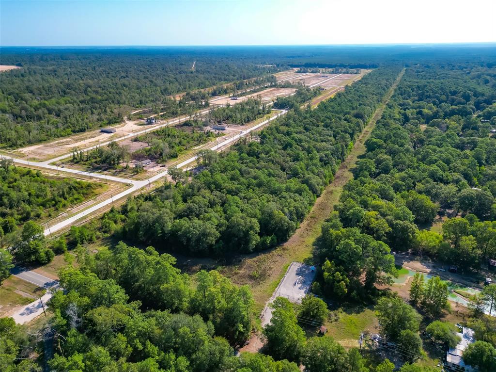 Magnolia Lane, Huffman, Texas image 12