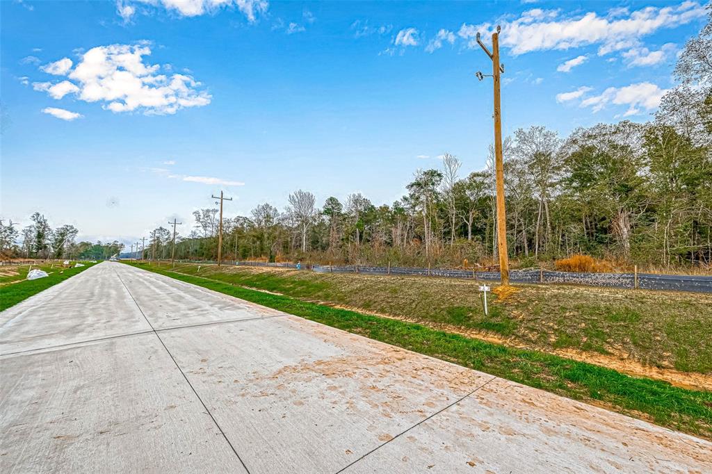 Magnolia Lane, Huffman, Texas image 9