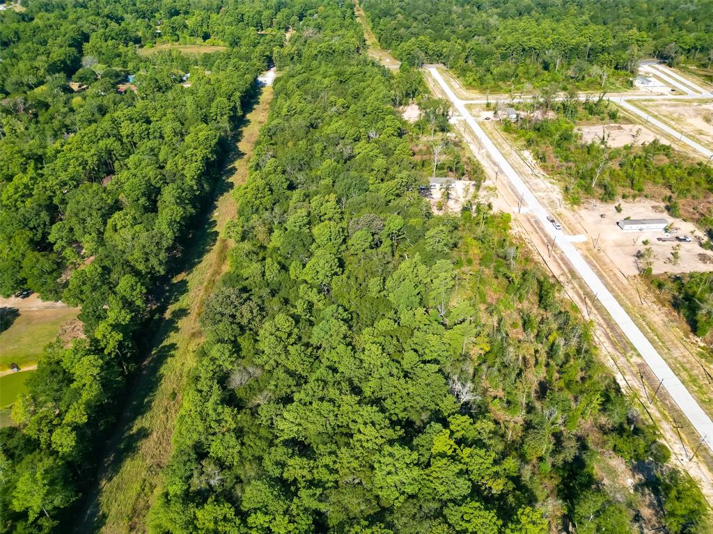 Magnolia Lane, Huffman, Texas image 23