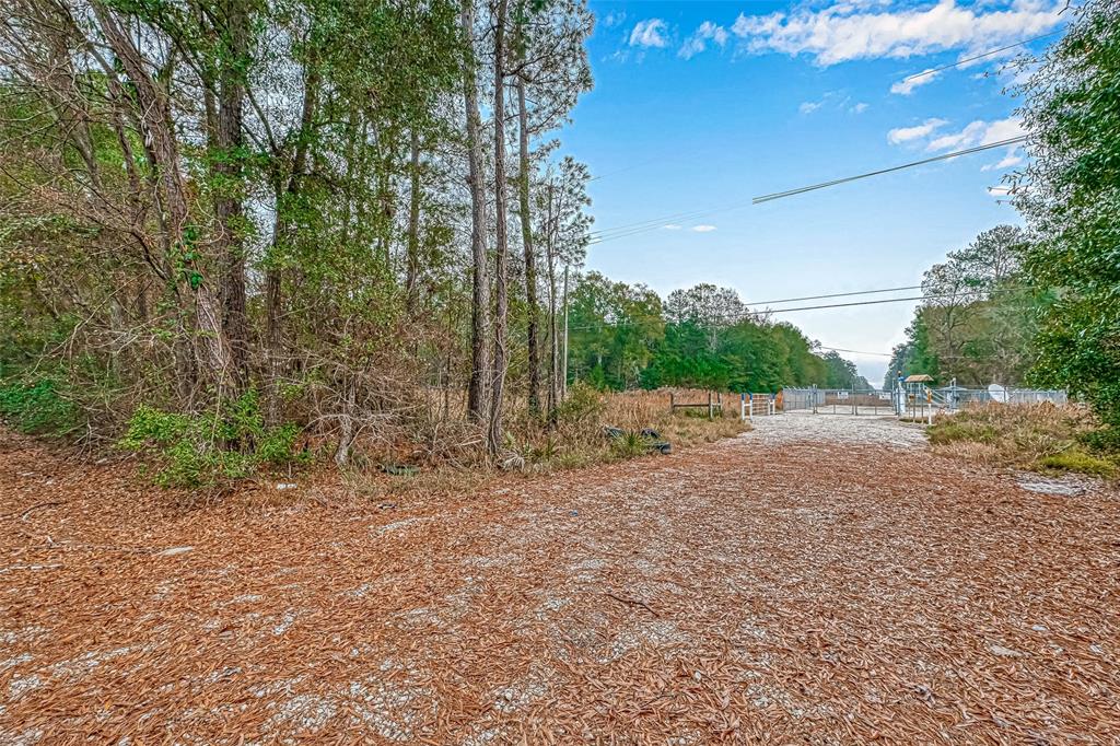 Magnolia Lane, Huffman, Texas image 5