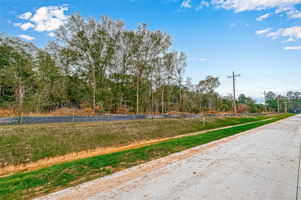 Magnolia Lane, Huffman, Texas image 8