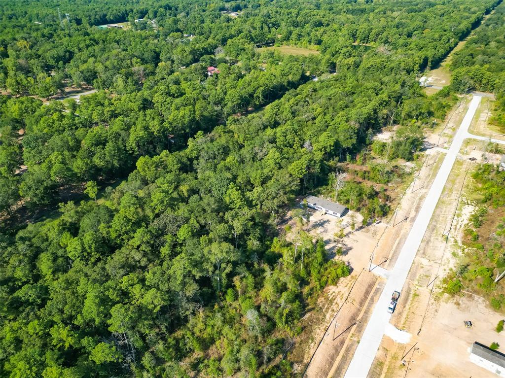 Magnolia Lane, Huffman, Texas image 19