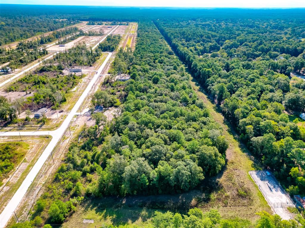 Magnolia Lane, Huffman, Texas image 1