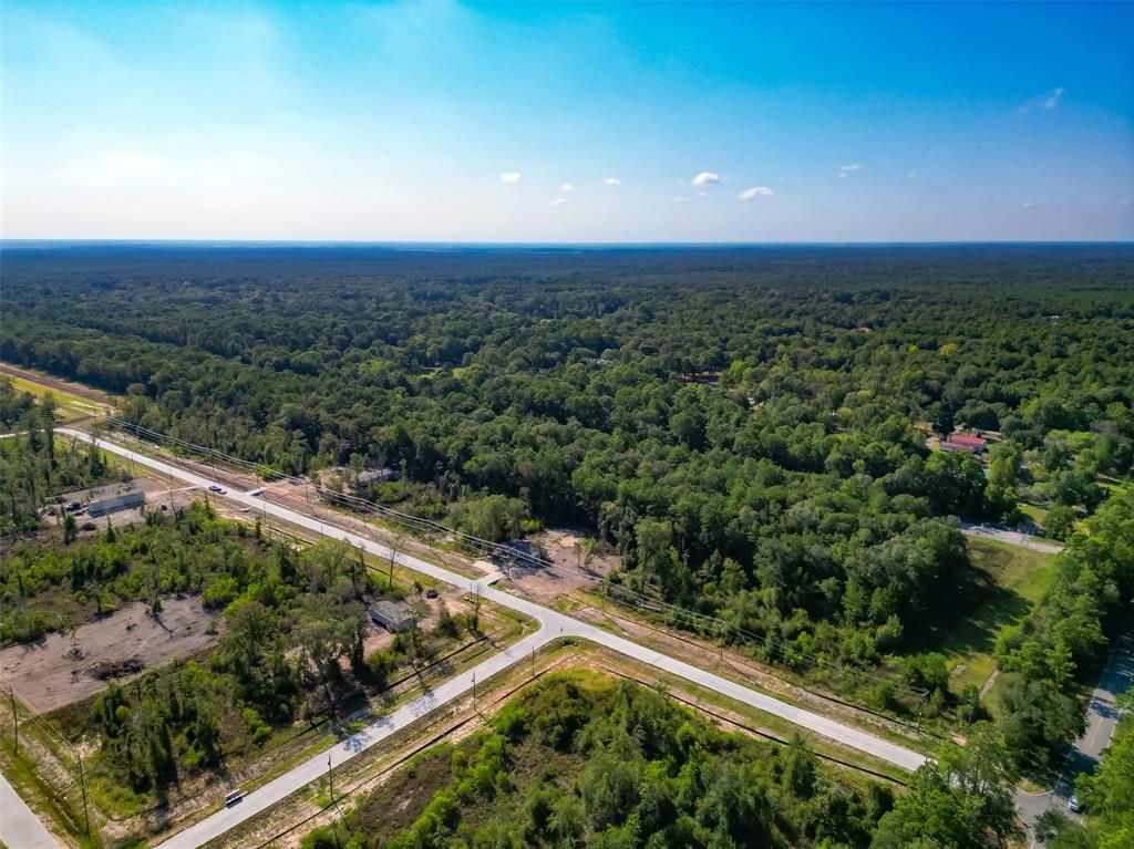 Magnolia Lane, Huffman, Texas image 15