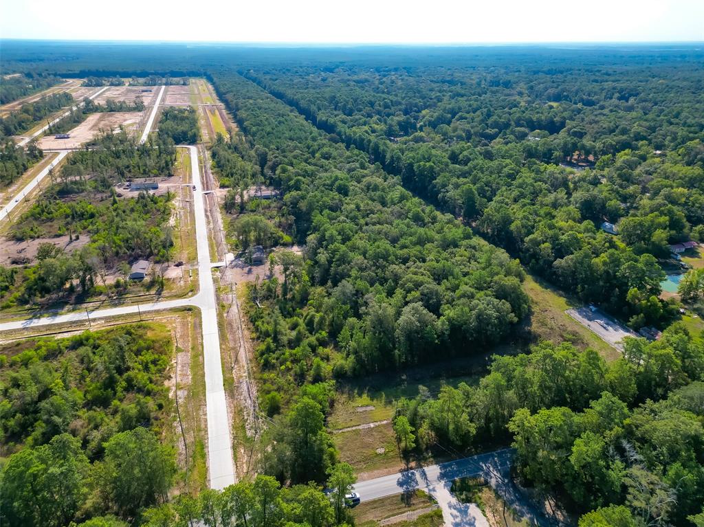 Magnolia Lane, Huffman, Texas image 14