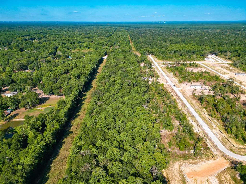 Magnolia Lane, Huffman, Texas image 21