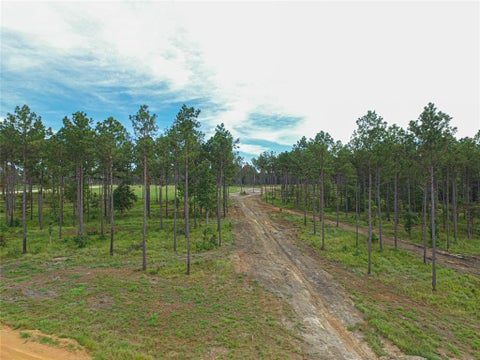 Vacant Land For Sale - 006 Nelson Dr<br/> Livingston, TX 77351