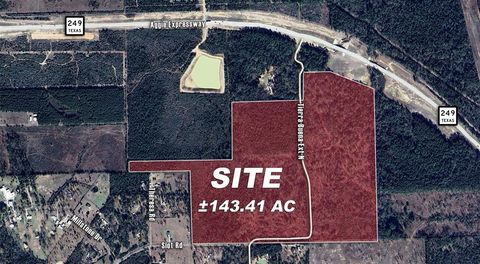 Vacant Land For Sale - State Highway 249<br/> Plantersville, TX 77363