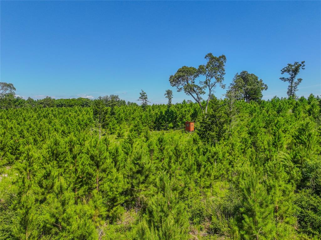 TBD Cr 1450, Warren, Texas image 45