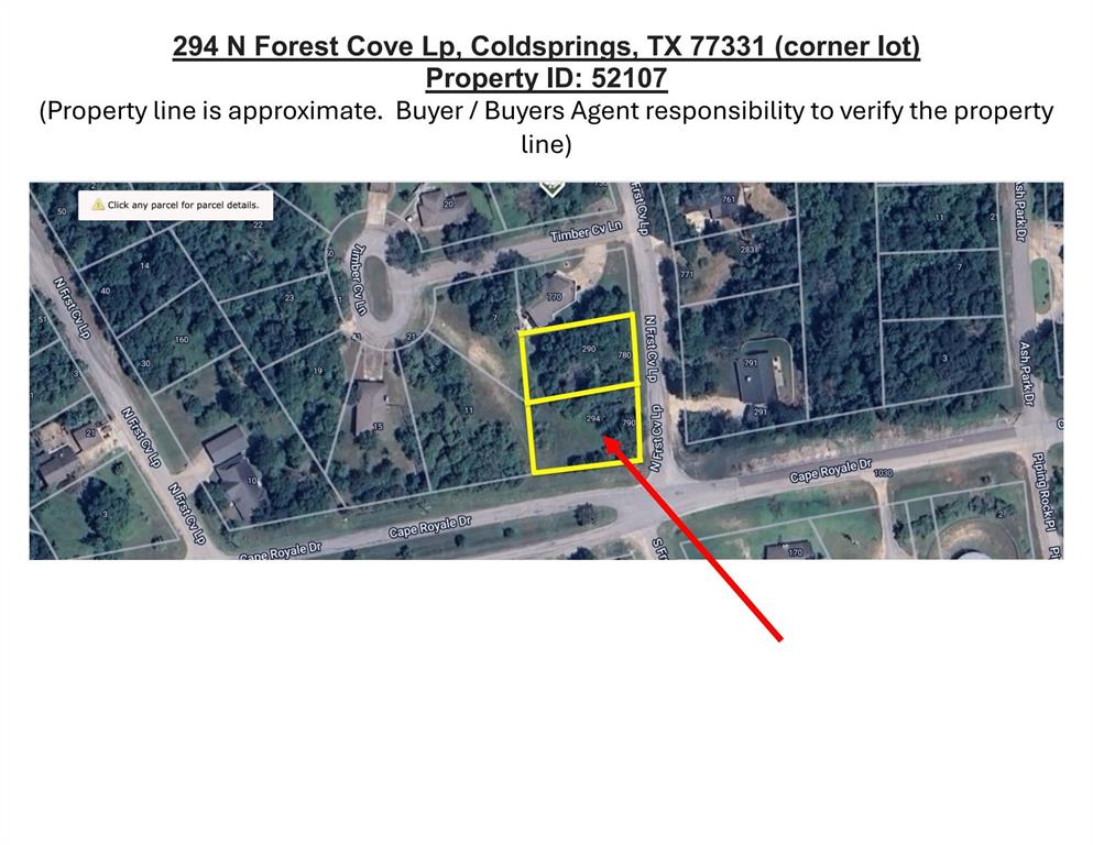 294 N Forest Cove Loop, Coldspring, Texas image 1