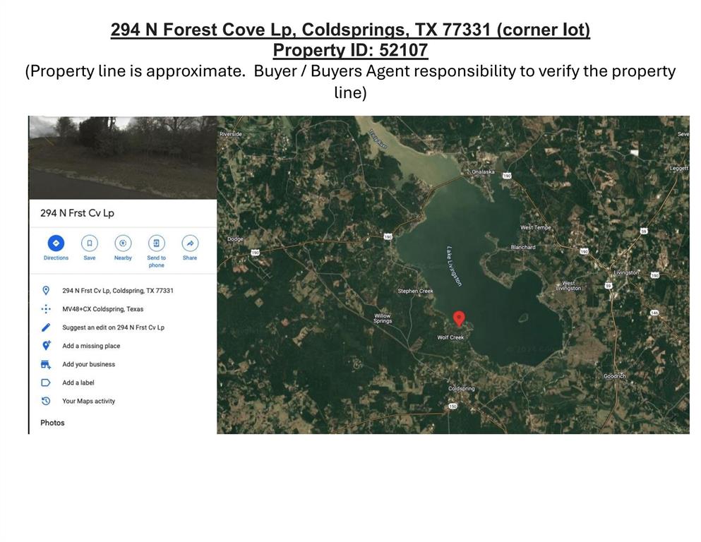 294 N Forest Cove Loop, Coldspring, Texas image 4