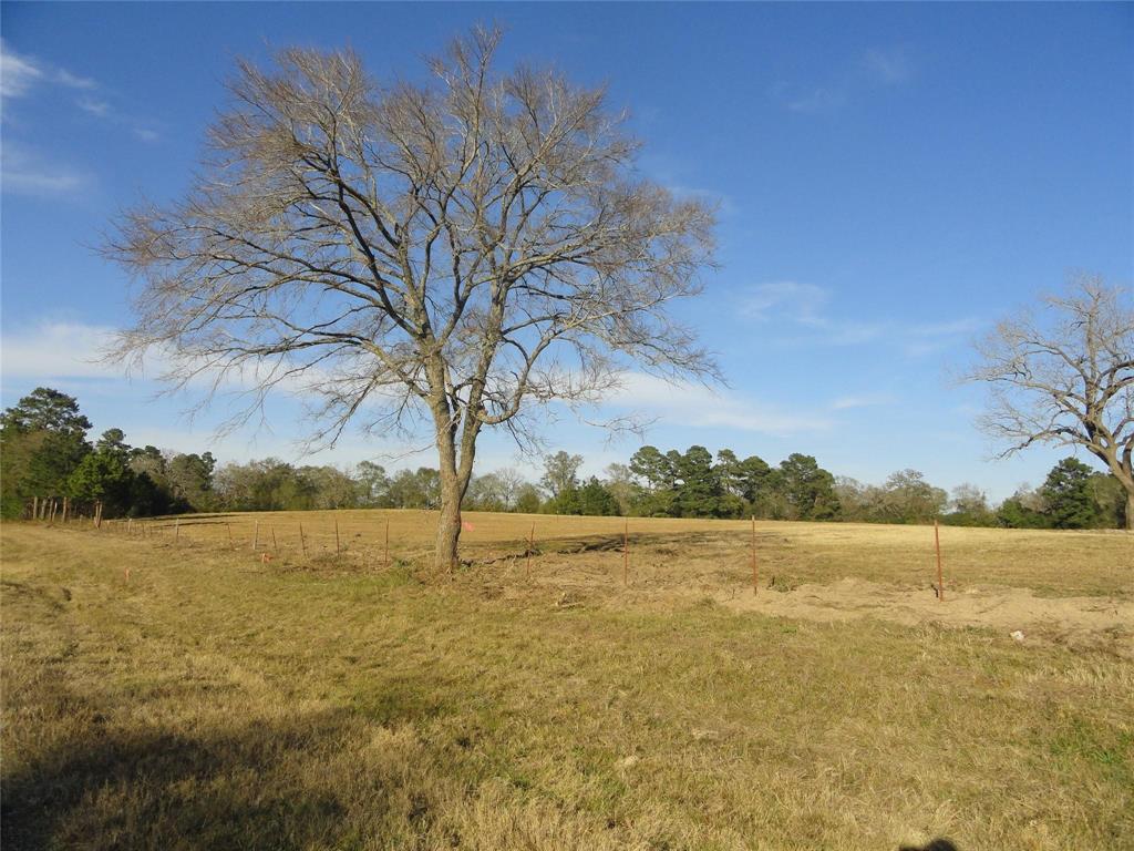 15686 Fm 2620 Road, Bedias, Texas image 27