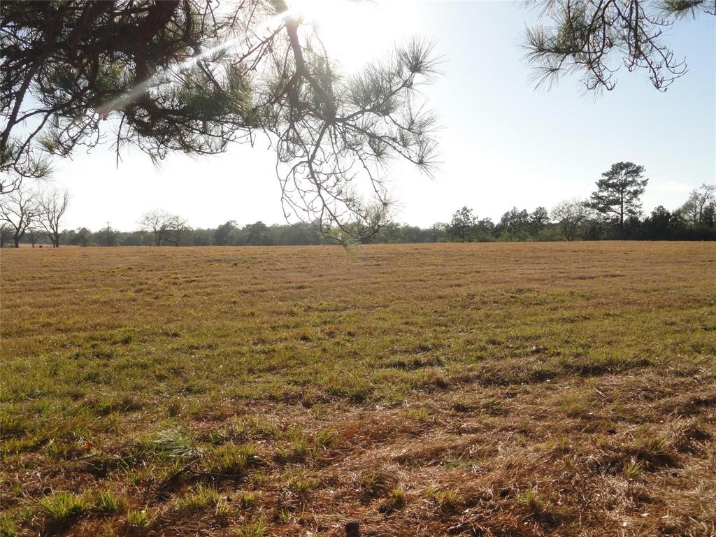 15686 Fm 2620 Road, Bedias, Texas image 15
