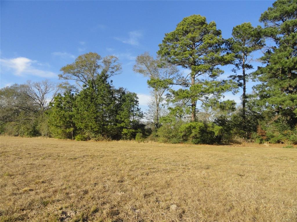 15686 Fm 2620 Road, Bedias, Texas image 11