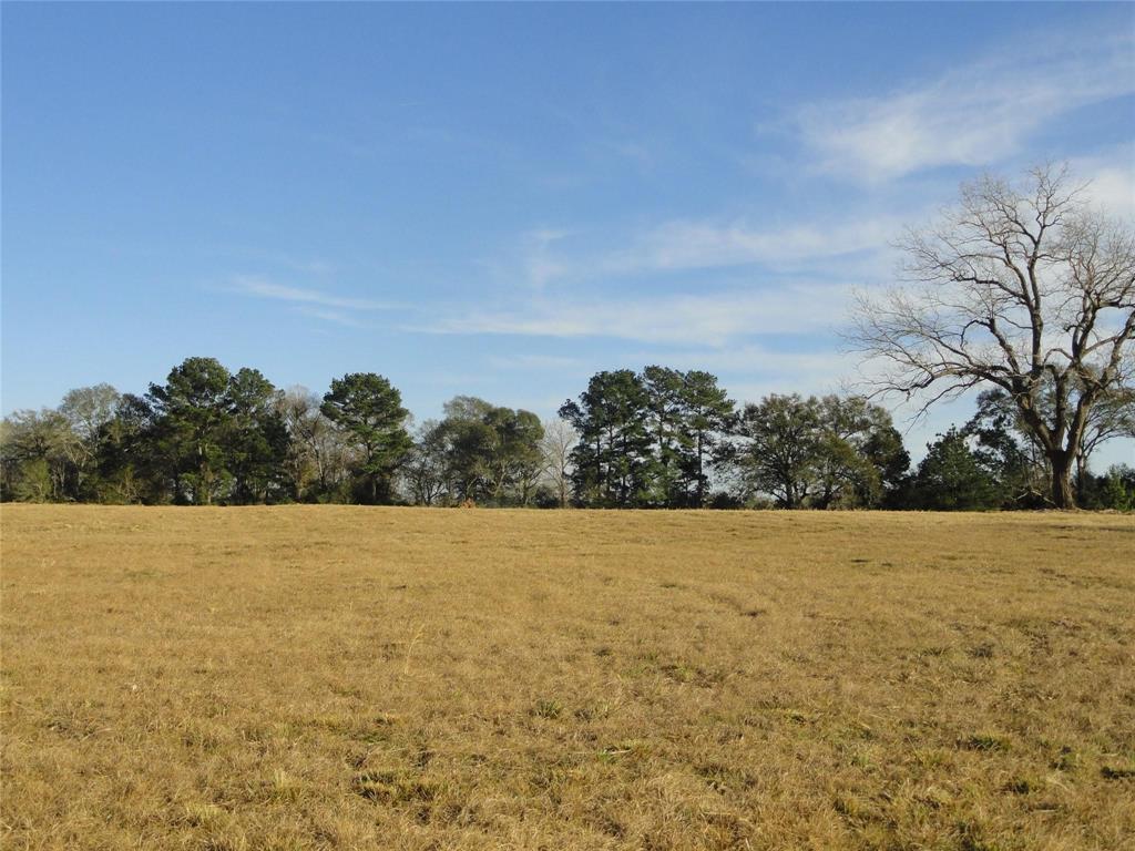 15686 Fm 2620 Road, Bedias, Texas image 12