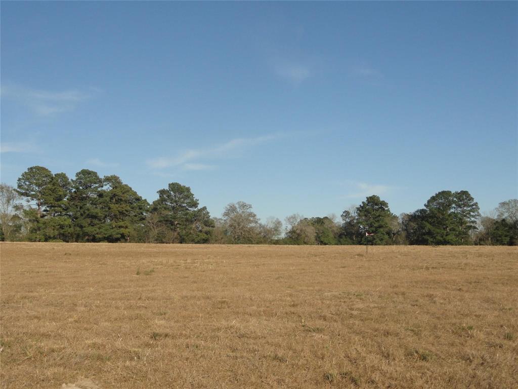 15686 Fm 2620 Road, Bedias, Texas image 24