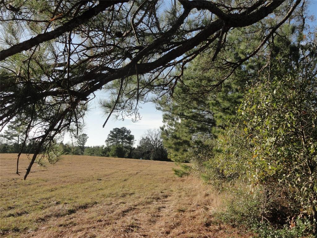 15686 Fm 2620 Road, Bedias, Texas image 10