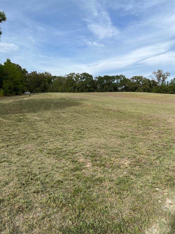 15686 Fm 2620 Road, Bedias, Texas image 9